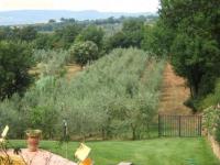 Haus kaufen Casale Marittimo klein uw0pvp9wk3oy