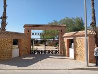 Haus kaufen Catral klein oq8nbc764hl9