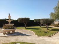 Haus kaufen Catral klein xanjxaqegpoi