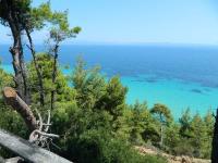 Haus kaufen Chalkidike Afytos klein b96ou6d9ei2w