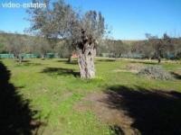 Haus kaufen Coin klein 7xlbkrtcdu4a