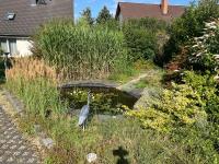 Haus kaufen Cottbus klein iiea4h4kbpod