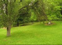 Haus kaufen Dalgopol klein fly0hn0nzycv