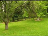 Haus kaufen Dalgopol klein m6cp9fbpk0ji