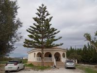 Haus kaufen Daya Vieja klein pl83gdpnt9k2