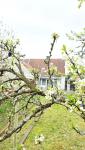 Haus kaufen Dessau-Roßlau klein u30nrqmavtj1