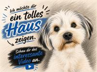 Haus kaufen Diemelsee klein 563xv084az7s