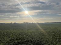 Haus kaufen Doberlug-Kirchhain klein 460sgjvwr9fq