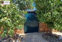 Haus kaufen Drapanos klein avwx571dor0s