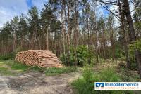 Haus kaufen Dreetz (Landkreis Ostprignitz-Ruppin) klein sz96n5oa42k4