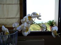 Haus kaufen Elounda, Lasithi, Kreta klein hh0e6f9smroq