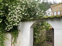 Haus kaufen Erlenbach bei Dahn klein i236o3z3brq1