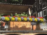 Haus kaufen Feldatal klein 6uet9js2o07t