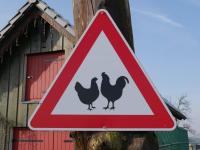 Haus kaufen Fischbach bei Dahn klein w0xsg1jrnxm4