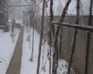 Haus kaufen Frankfurt am Main klein 2blcu1e8o33p