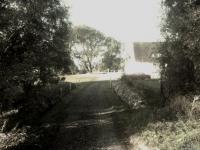 Haus kaufen Garding klein 3soqha8yugul