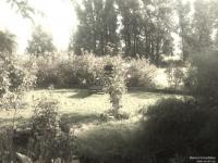 Haus kaufen Garding klein 6p5lzf3lyoi8