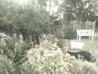 Haus kaufen Garding klein krqxmomd43fa