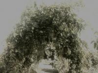 Haus kaufen Garding klein szvoc3hz6gmr