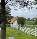 Haus kaufen Gardna Wielka klein 5fu86qjokohn
