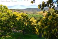 Haus kaufen Gavorrano klein vklwdmdxw3y8