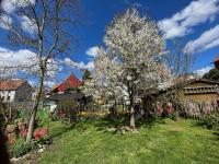 Haus kaufen Gemünden (Wohra) klein 7p8y1v2uale9