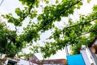 Haus kaufen Gergei klein vrjbupsidqya