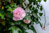 Haus kaufen Gergei klein xqm6vy7smb2x