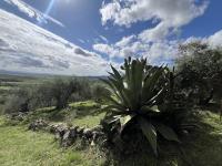 Haus kaufen Giuncarico klein m87bj5a824cy