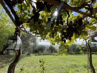 Haus kaufen Giuncarico klein qmn46j2094su