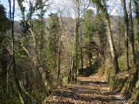 Haus kaufen Giustagnana Seravezza klein 93beorcfatzj