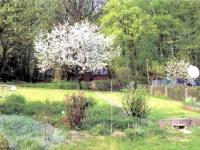 Haus kaufen Godern klein bydwberv2qcl