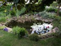 Haus kaufen Grünstadt klein m62klex4z6ao