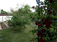 Haus kaufen Grünstadt klein rquybph3m496