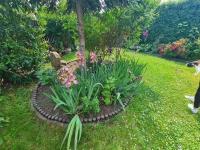 Haus kaufen Hadmersleben klein c7orthitu9hj