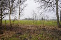 Haus kaufen Hesel klein l8scixvkfd97