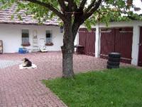 Haus kaufen Hoyerswerda klein 2mnt7qqr9a7r