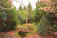 Haus kaufen Hürth klein gxtcr94jyrhl