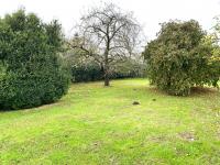 Haus kaufen Husum klein 2016cfwey87s