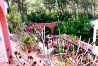 Haus kaufen Ibiza klein sxny7lxfy301