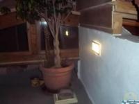 Haus kaufen Icod de los Vinos klein 3welb4gev0y2