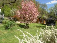 Haus kaufen Idar-Oberstein klein rnw2vivjl8z3