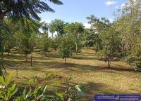 Haus kaufen Itacurubí de la Cordillera klein nfmxeqbll6bq