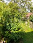 Haus kaufen Jagstzell klein azw9b9z7j0cj