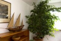 Haus kaufen Javea klein dzxy9goq5rae