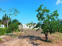 Haus kaufen Javea Xabia klein in6m3yxzf1t4