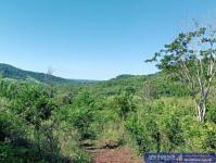 Haus kaufen Jovere klein 5ysx78nev44k