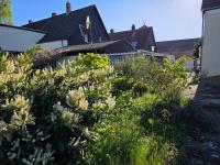 Haus kaufen Kaiserslautern klein 8s2dxbvuuzop