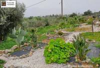 Haus kaufen Kalamitsi Apokoronas klein 4cicarhiwarg