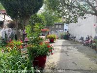 Haus kaufen Kalkar klein peb23cxschxa